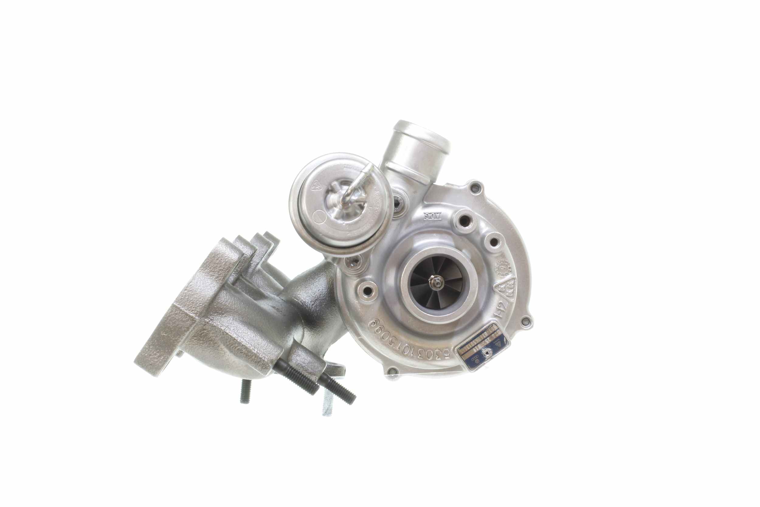 11900302