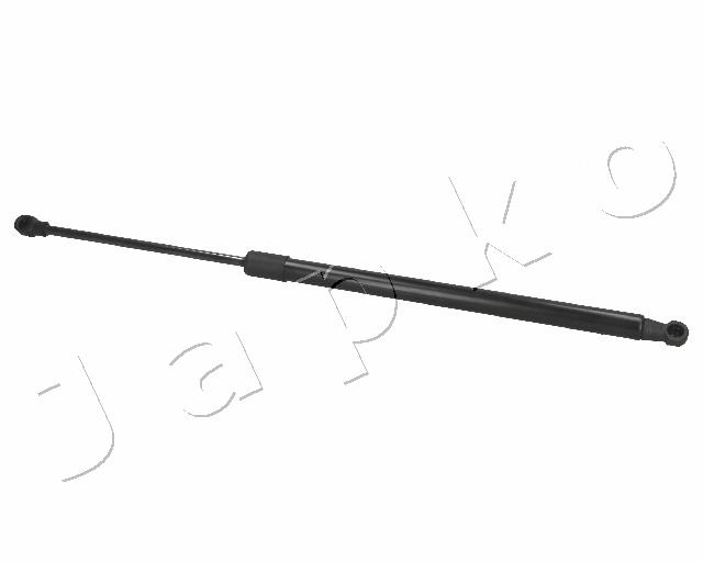 ZSJ09170
