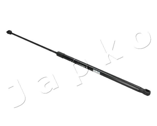 ZSJ09031