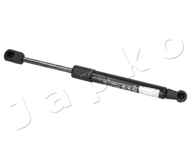 ZSJ07078