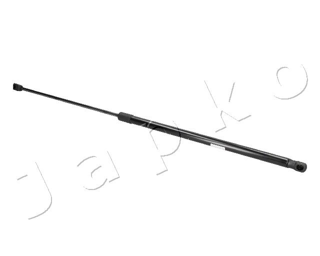 ZSJ09189
