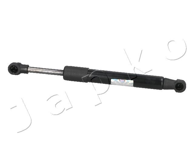 ZSJ09098