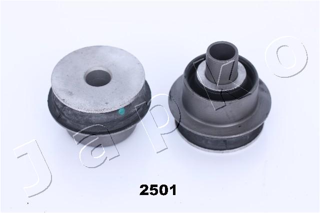 GOJ2501
