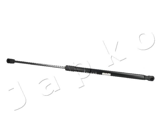 ZSJ09070