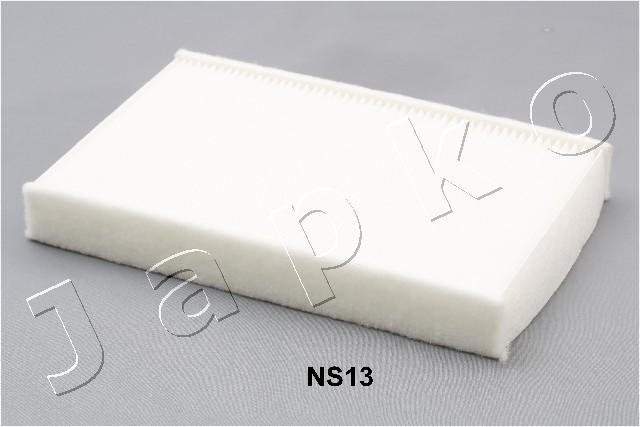 21NS13