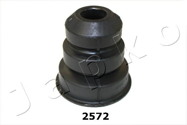 GOJ2572