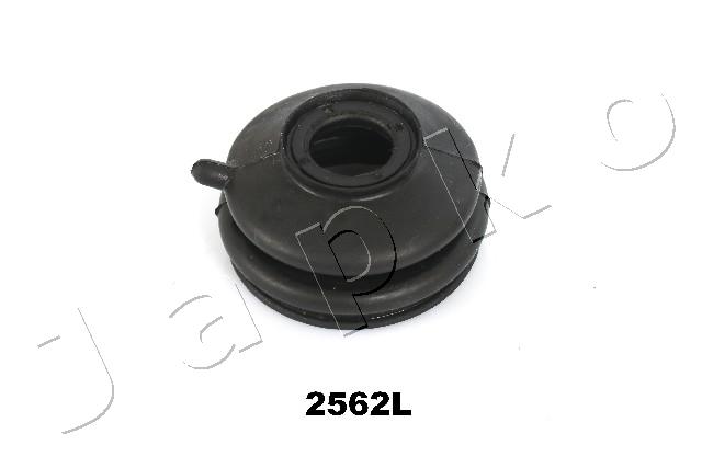 GOJ2562