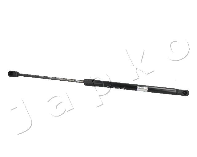 ZSJ09077