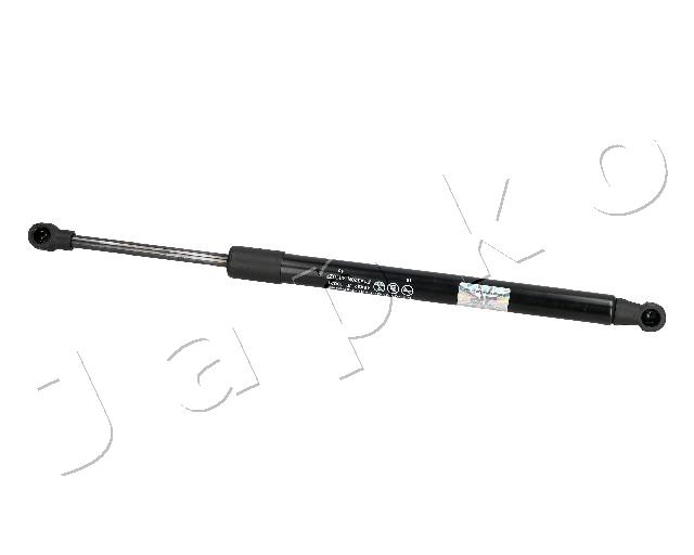 ZSJ10021