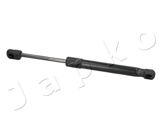 ZSJ09025