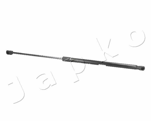 ZSJ09161