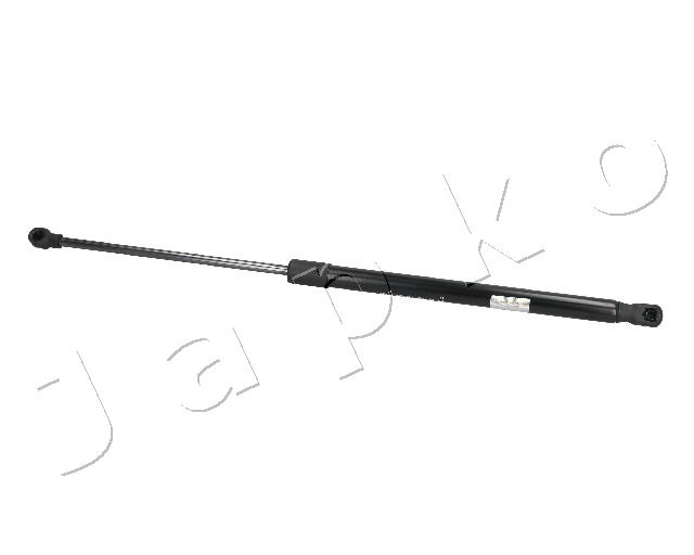 ZSJ09024