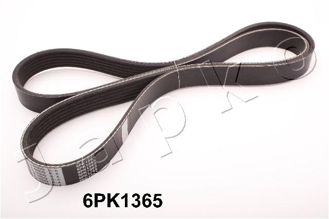 6PK1365