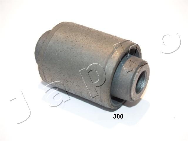 GOJ300