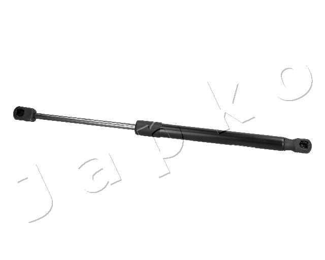 ZSJ09196