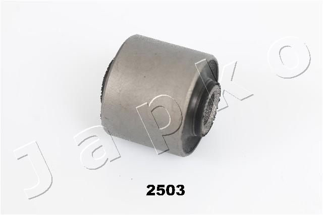 GOJ2503
