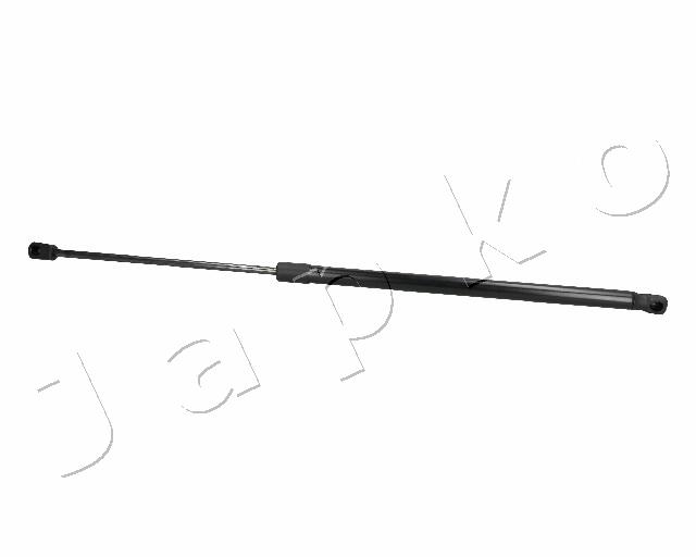 ZSJ06065