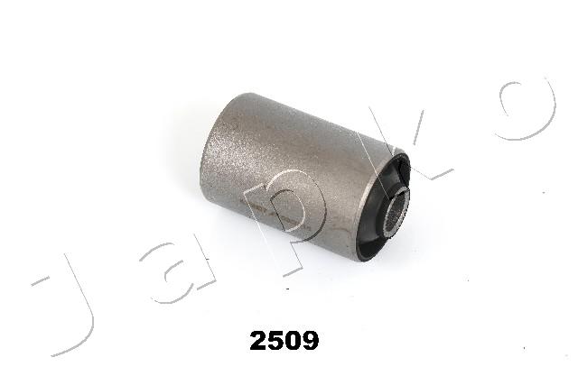 GOJ2509