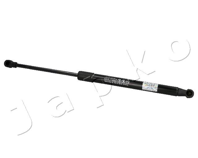 ZSJ07066