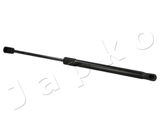 ZSJ09013