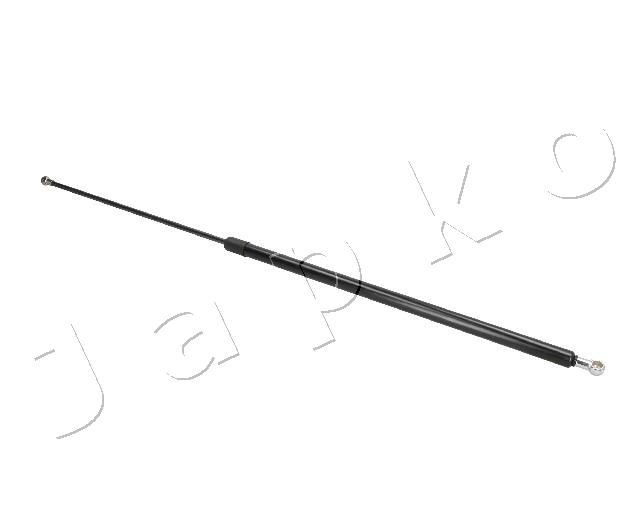 ZSJ09119