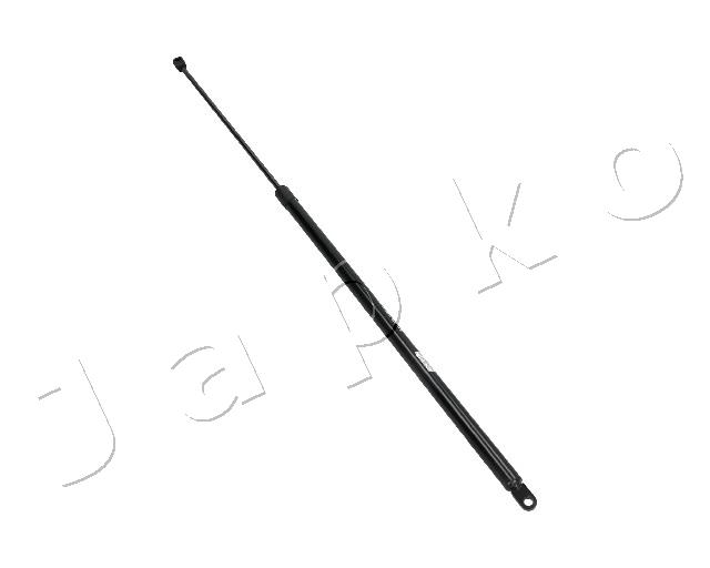 ZSJ09027