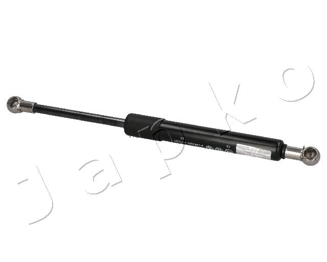 ZSJ09017