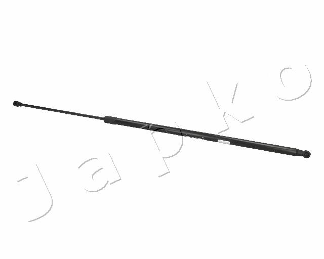 ZSJ07077