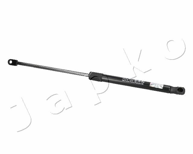 ZSJ06091