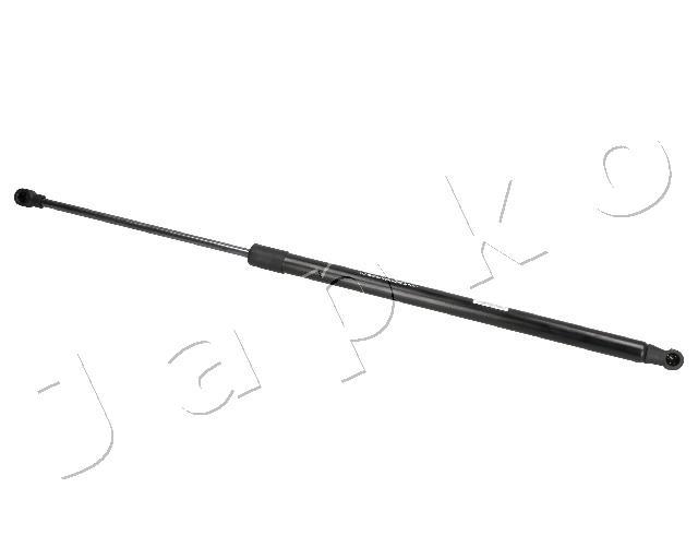 ZSJ07019
