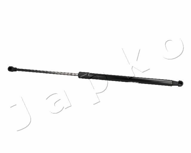 ZSJ06098