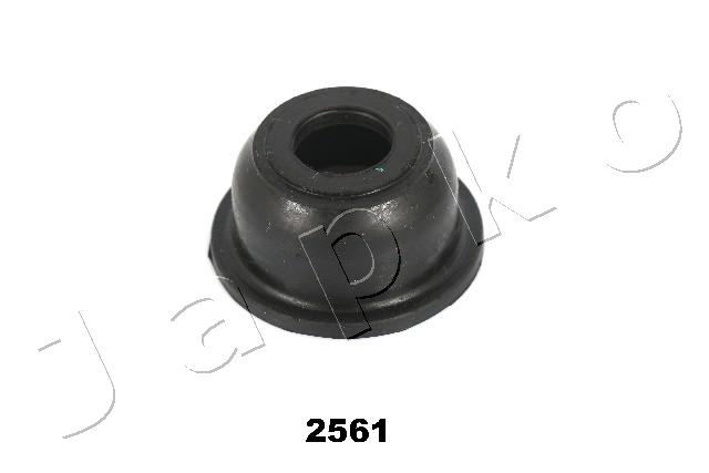 GOJ2561