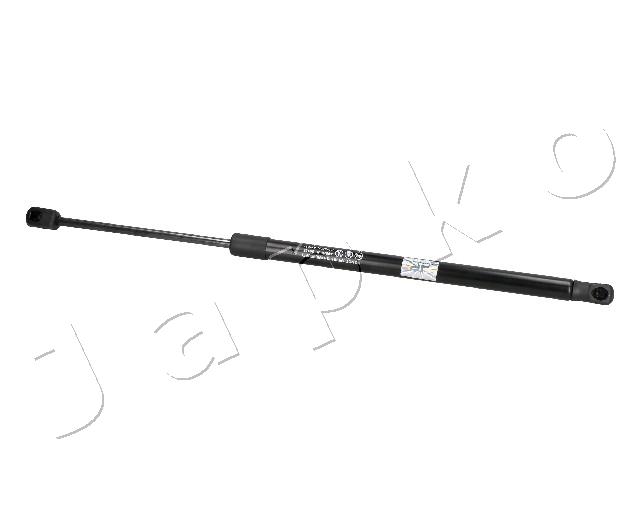 ZSJ09155
