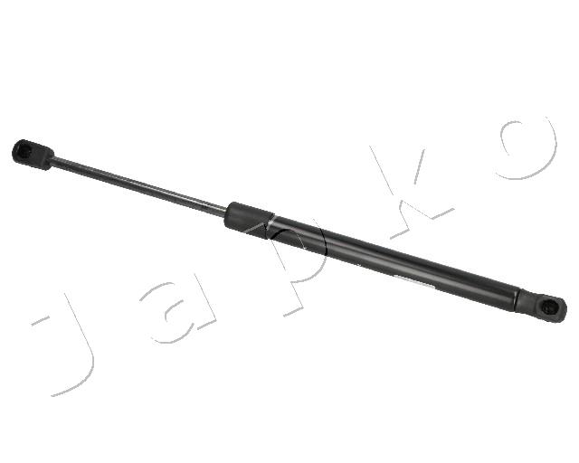 ZSJ09012