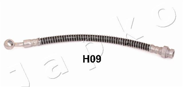 69H09