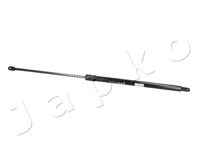 ZSJ09074