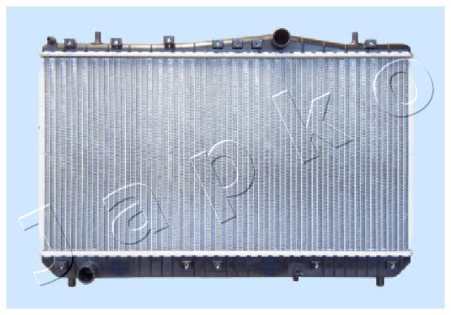 RDA313019
