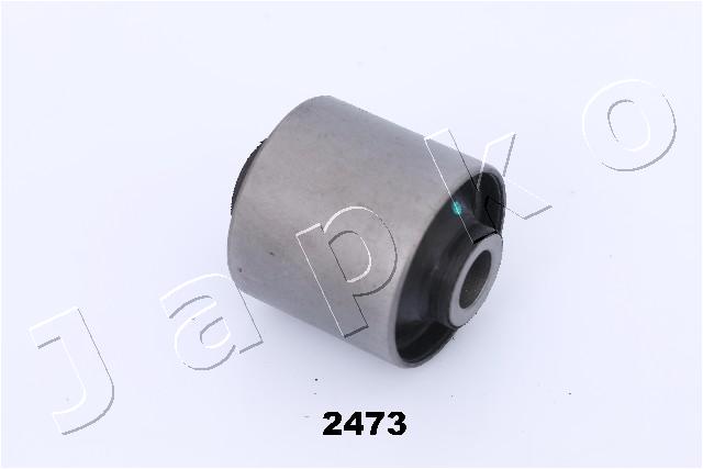GOJ2473