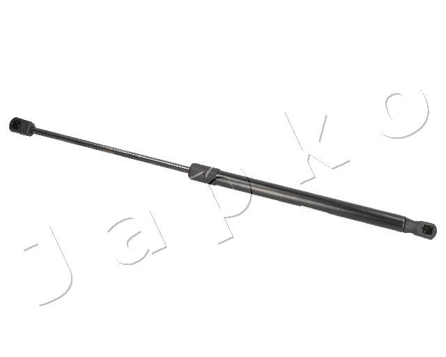 ZSJ09169