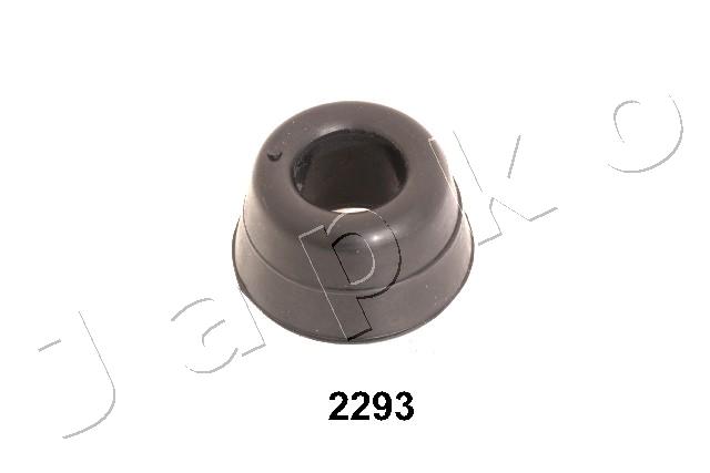 GOJ2293