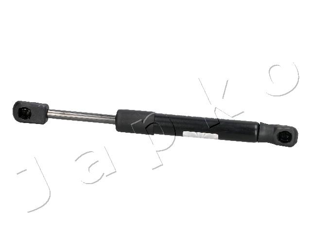 ZSJ05038