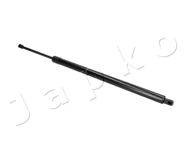 ZSJ09168