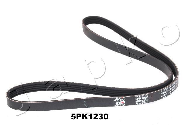 5PK1230
