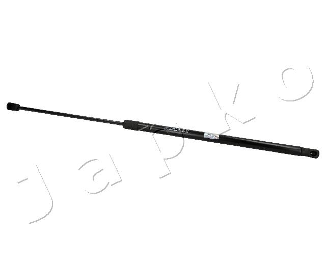 ZSJ07063