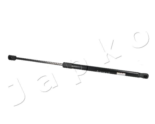 ZSJ09073