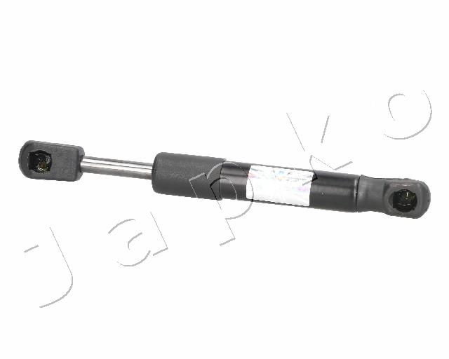 ZSJ09162