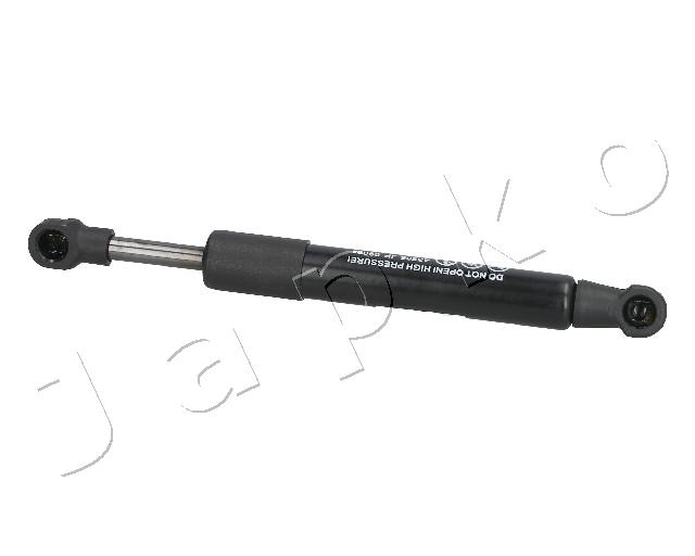 ZSJ09094