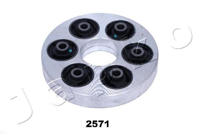 GOJ2571