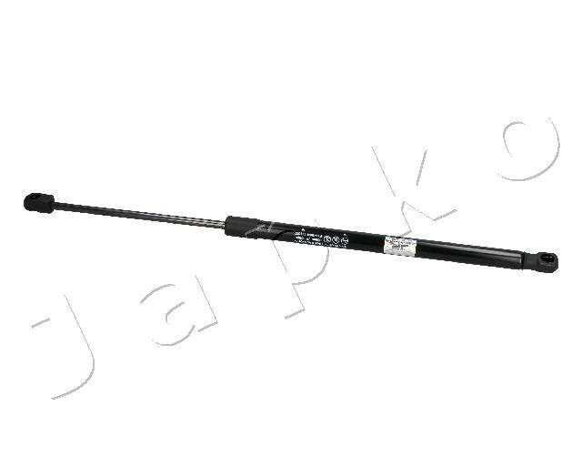 ZSJ30005