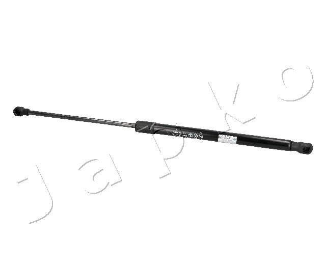 ZSJ09181